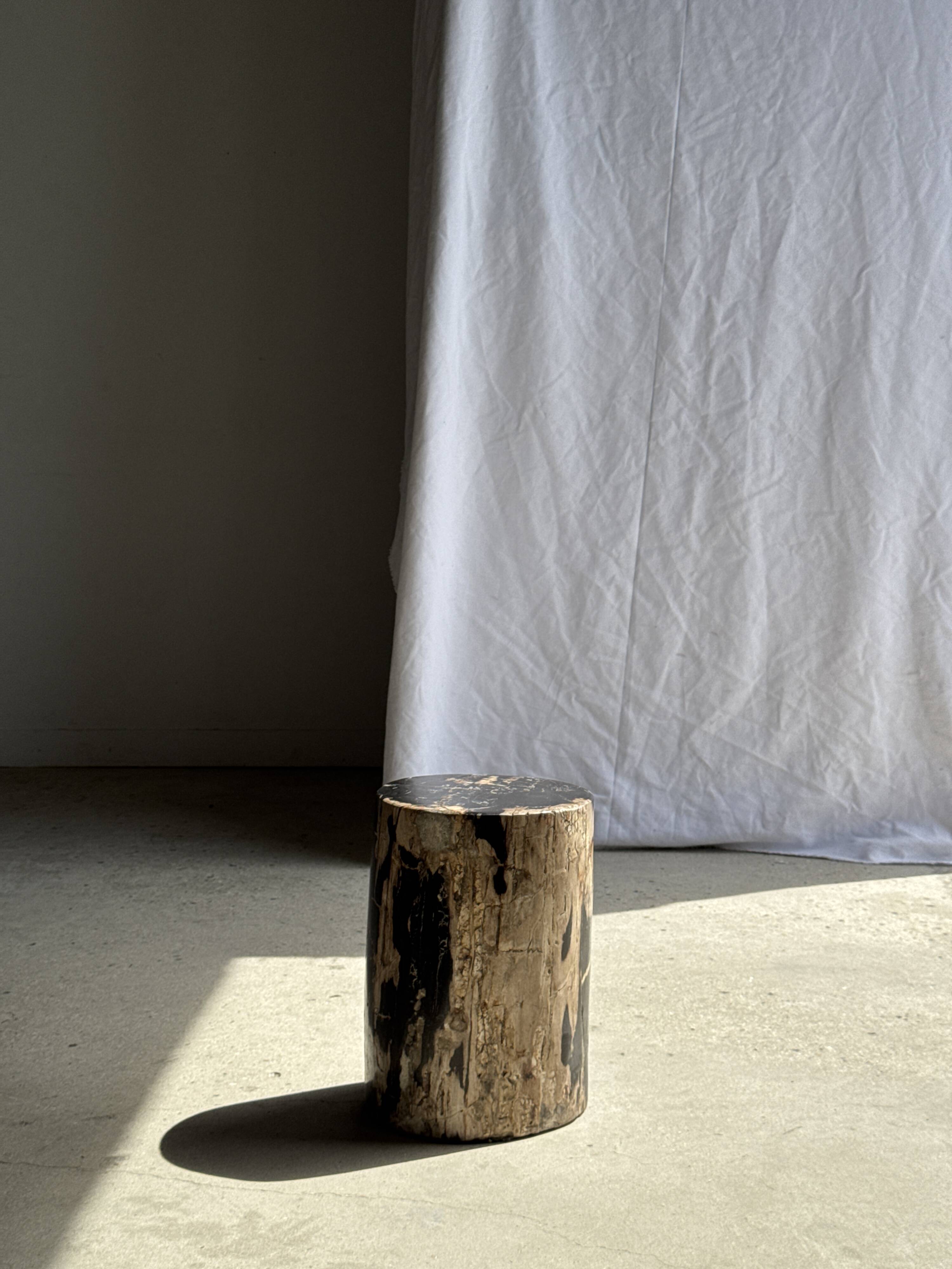 Black petrified wood side table with beige side H35 D24 - 3352