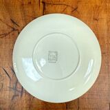 Set of 6 Salins Crocus dessert plates