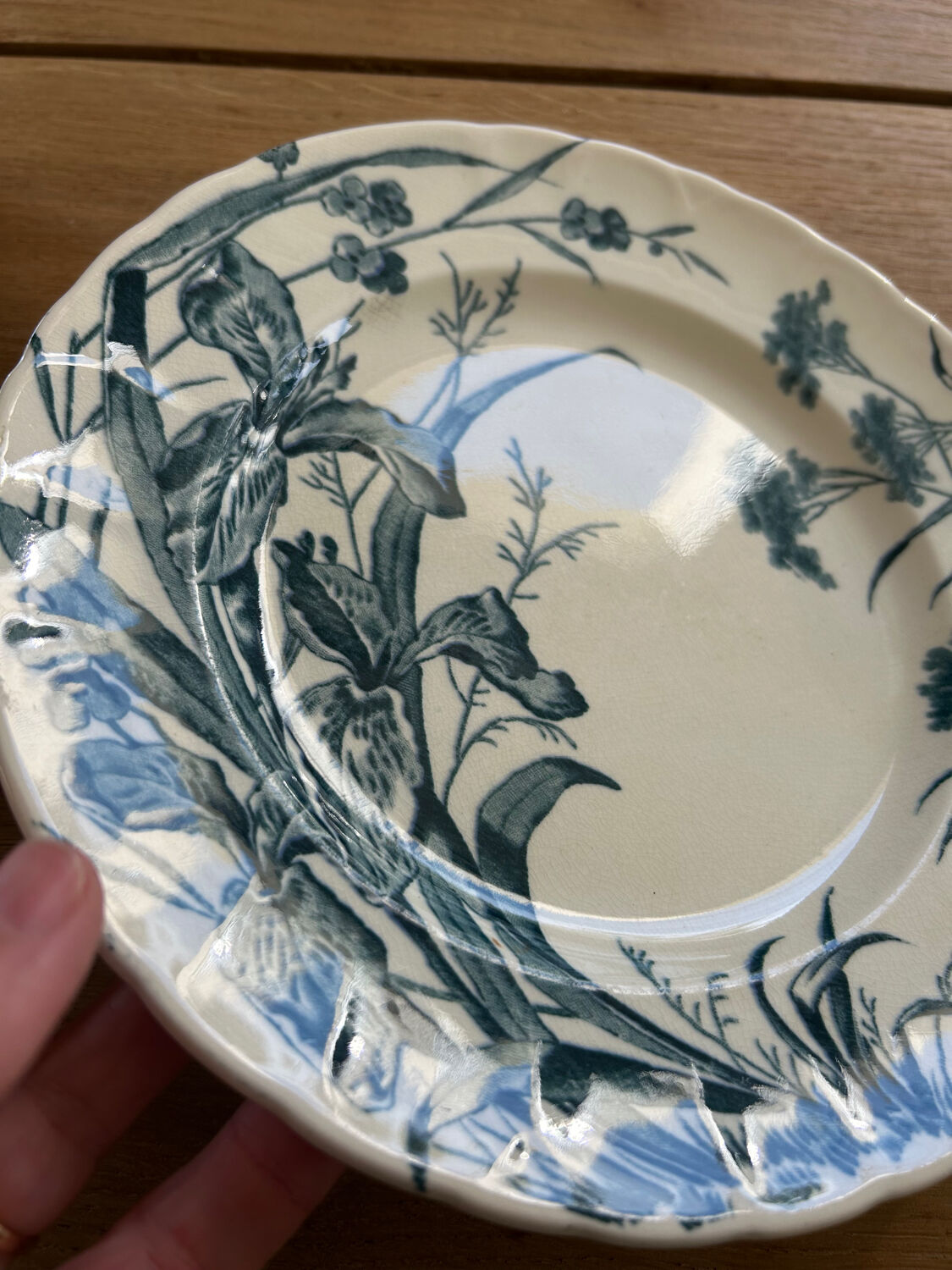 Set of 5 dessert plates Terre de fer Jules Vieillard