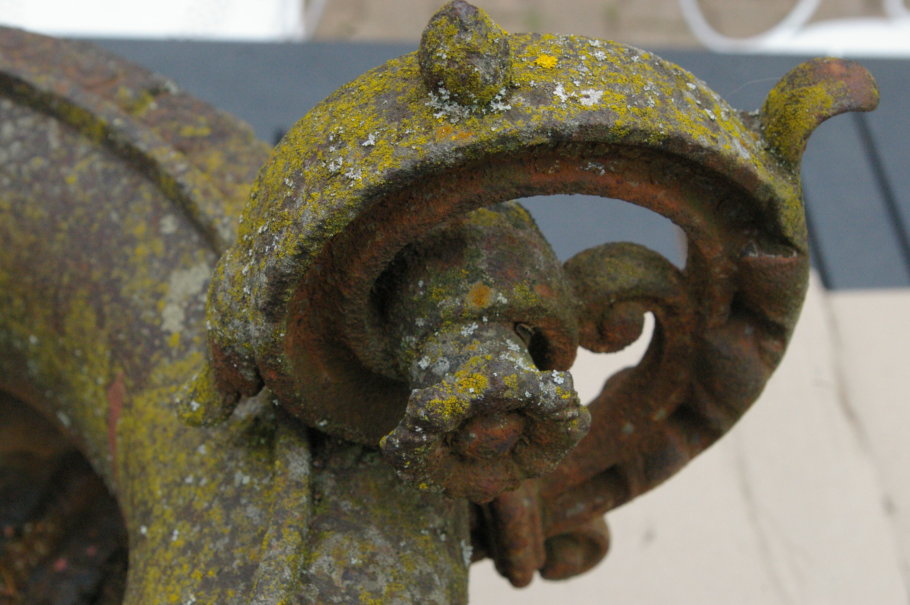 Paire d'anciens vases Médicis de jardin en fonte de fer