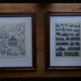 Original lithographs of birds and nests