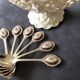 Small spoon medallion