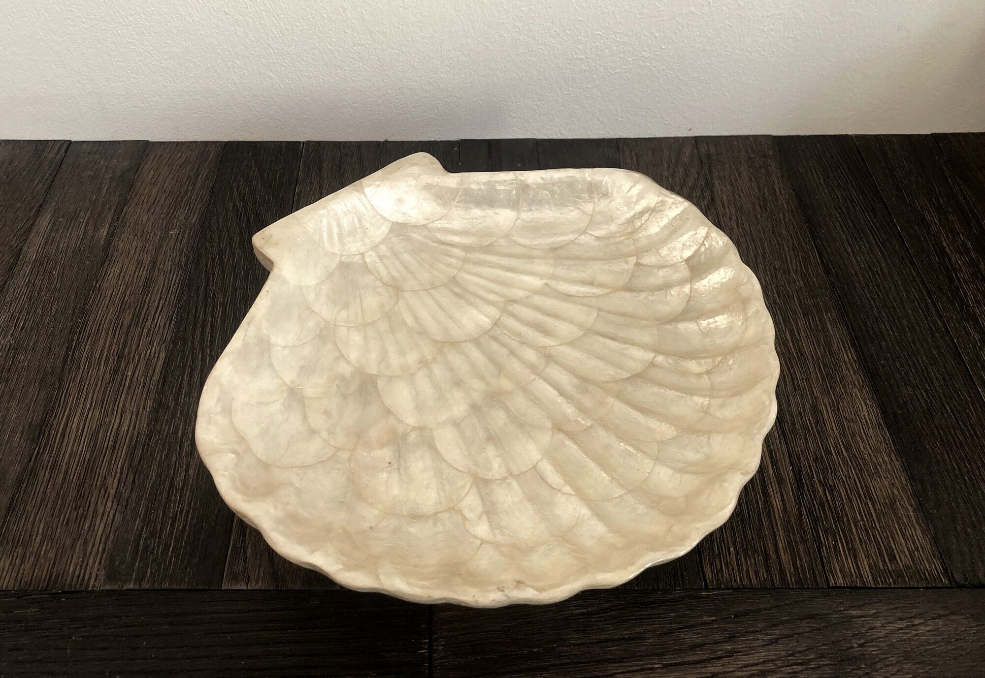 Cup / vacuum vintage pocket in the shape of mother-of-pearl shell