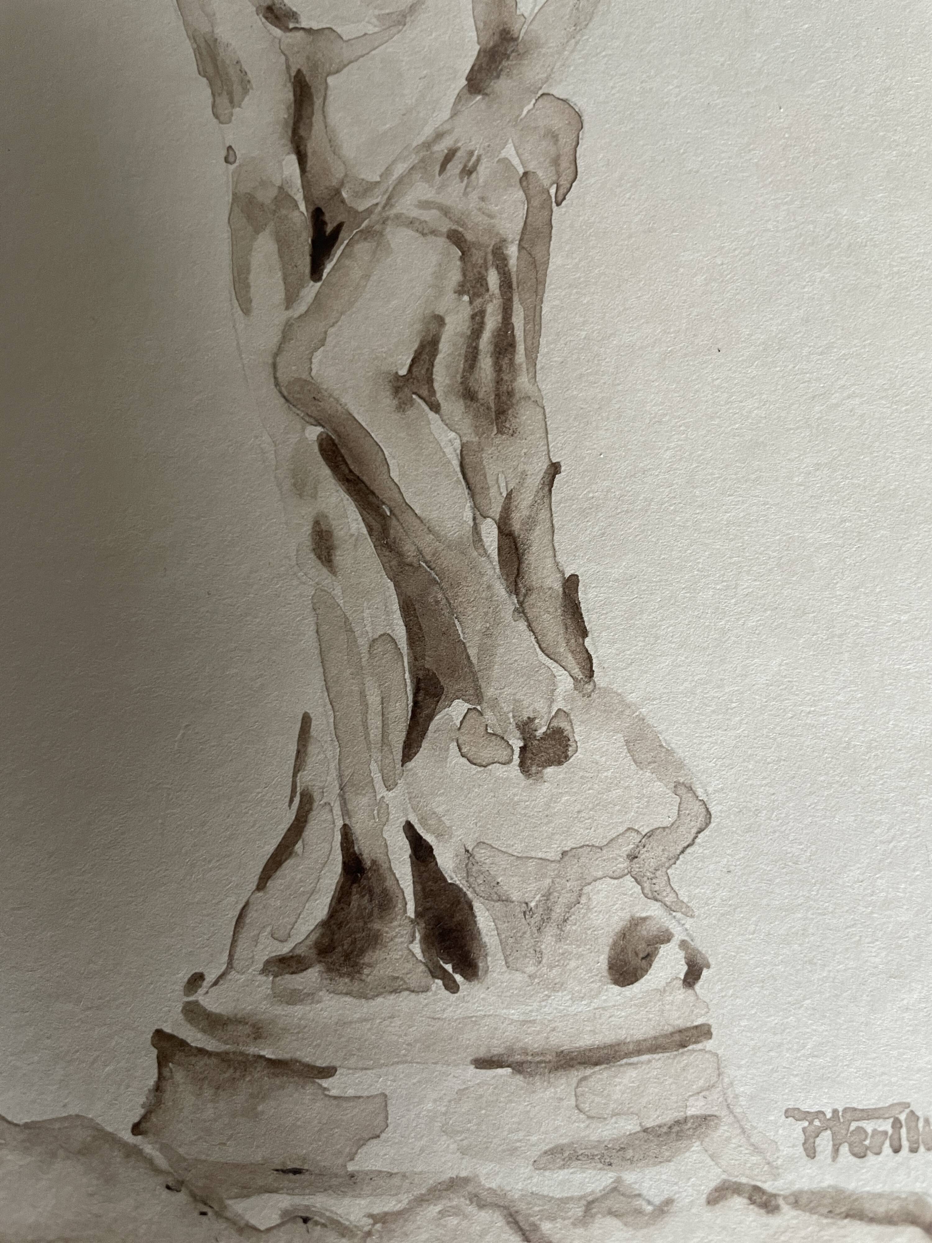 Tableau signé aquarelle monochrome étude dessin statue musée classique « sortie du bain »