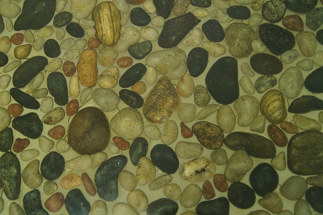 Vintage Swedish rosewood coffee table, 1960s