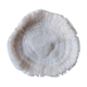 Corail fungia 14x12 cm
