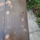 19th century oak desk