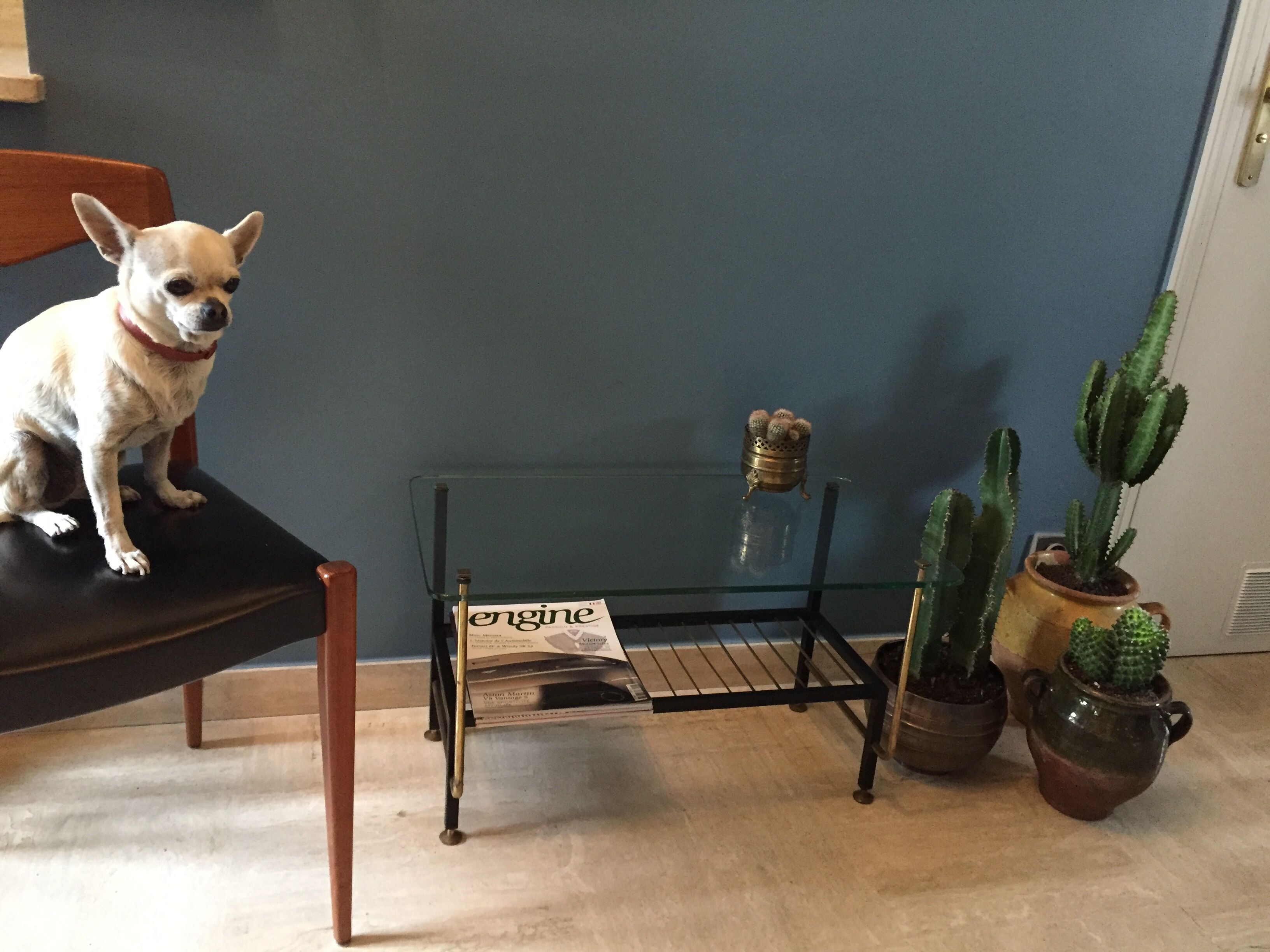 Coffee table in glass  black metal and brass vintage 1950