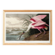 Poster about the Pink Spatula, based on an old engraving from 1827.