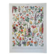Old botanical plate "Flowers" – 1930