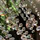 Lustre spider cristal 1970