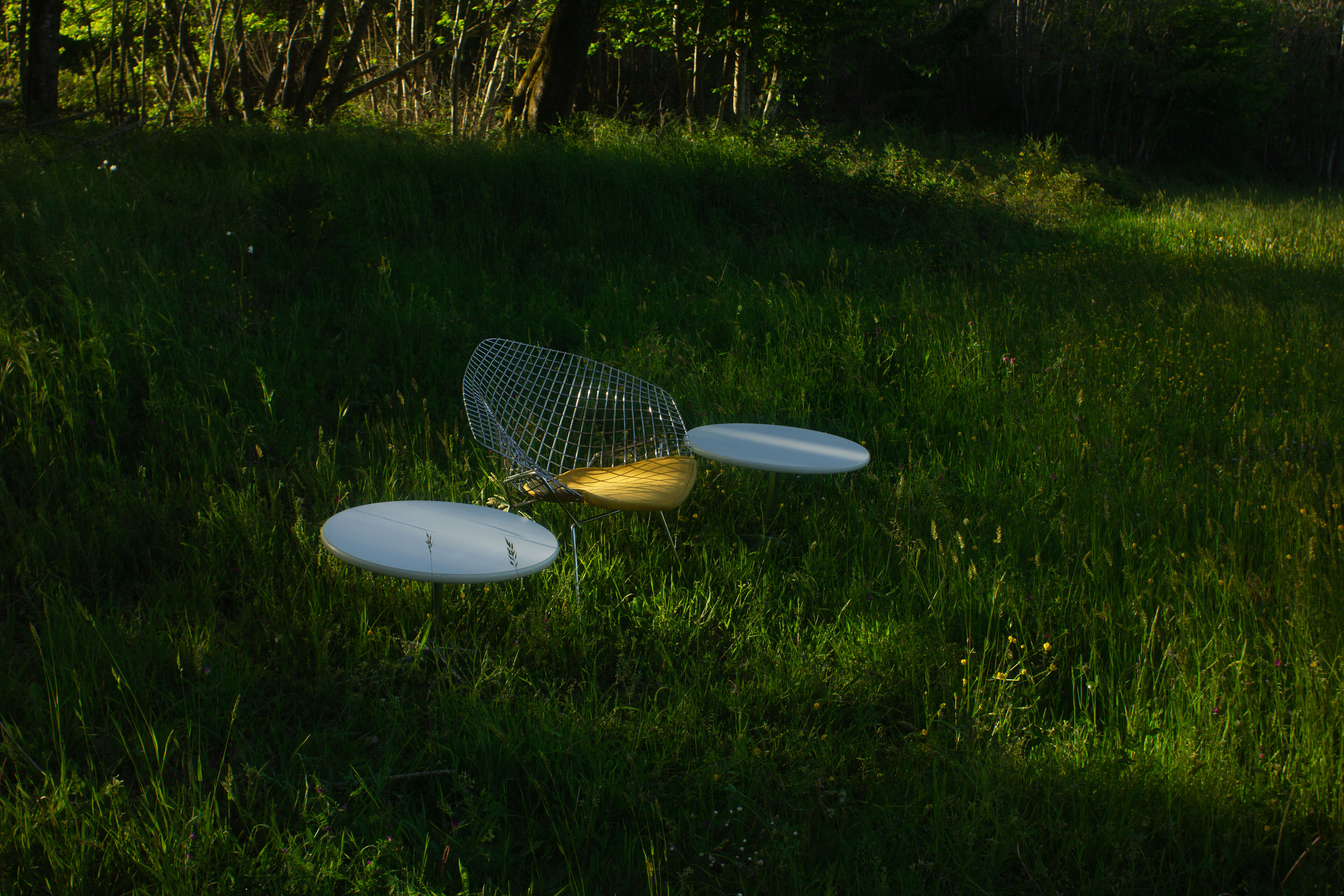 Diamond armchair by Harry Bertoia for Knoll International