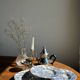 Lot de 5 assiettes anglaises bleues D23