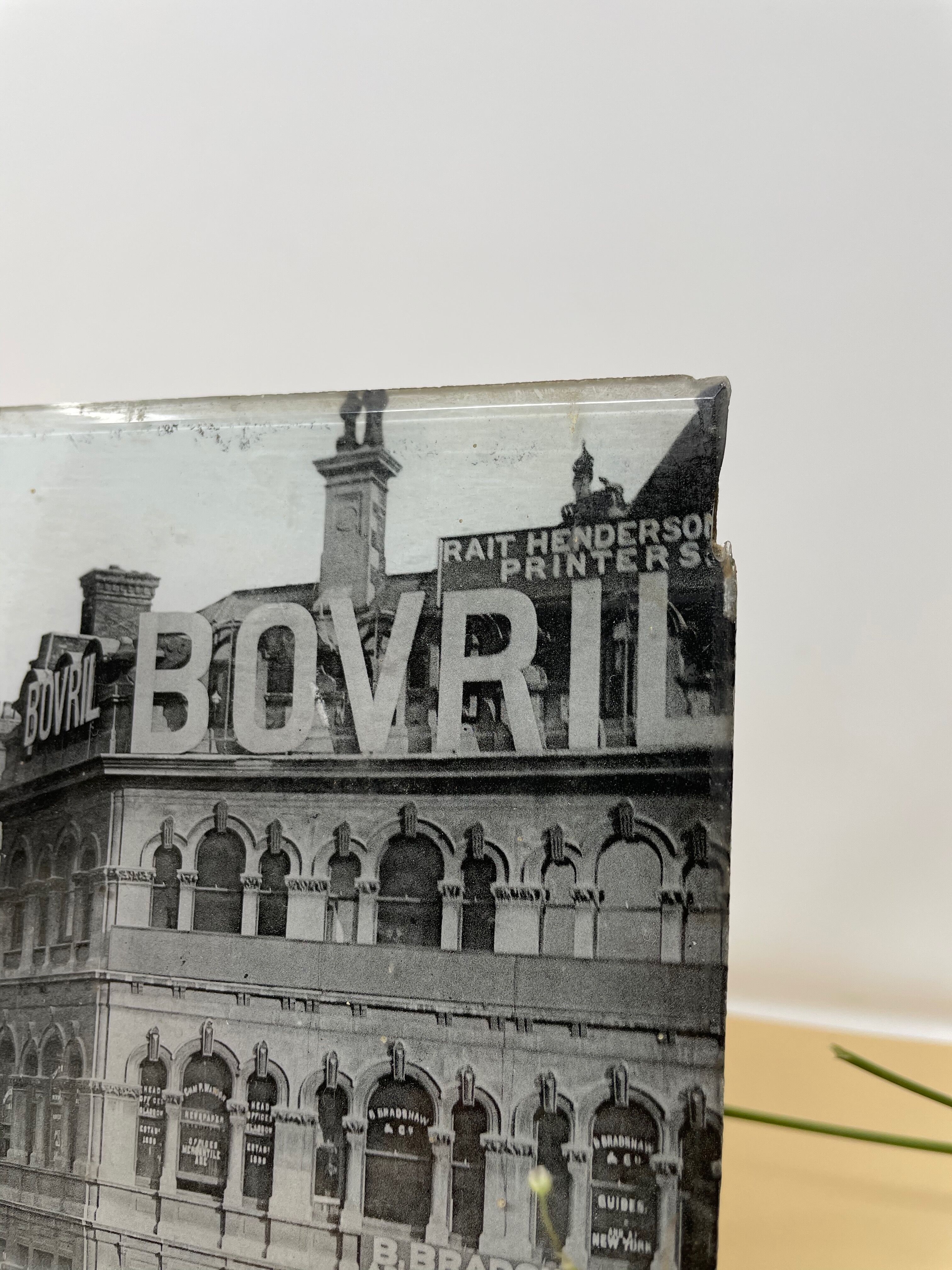 Photography London pressed under glass and cardboard - End 19th