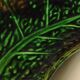 Ravier in Barbotine – Cabbage Leaf Ceramic Dish – Serving Plate