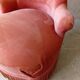 Vintage pink velvet toad