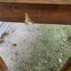 Ancient table