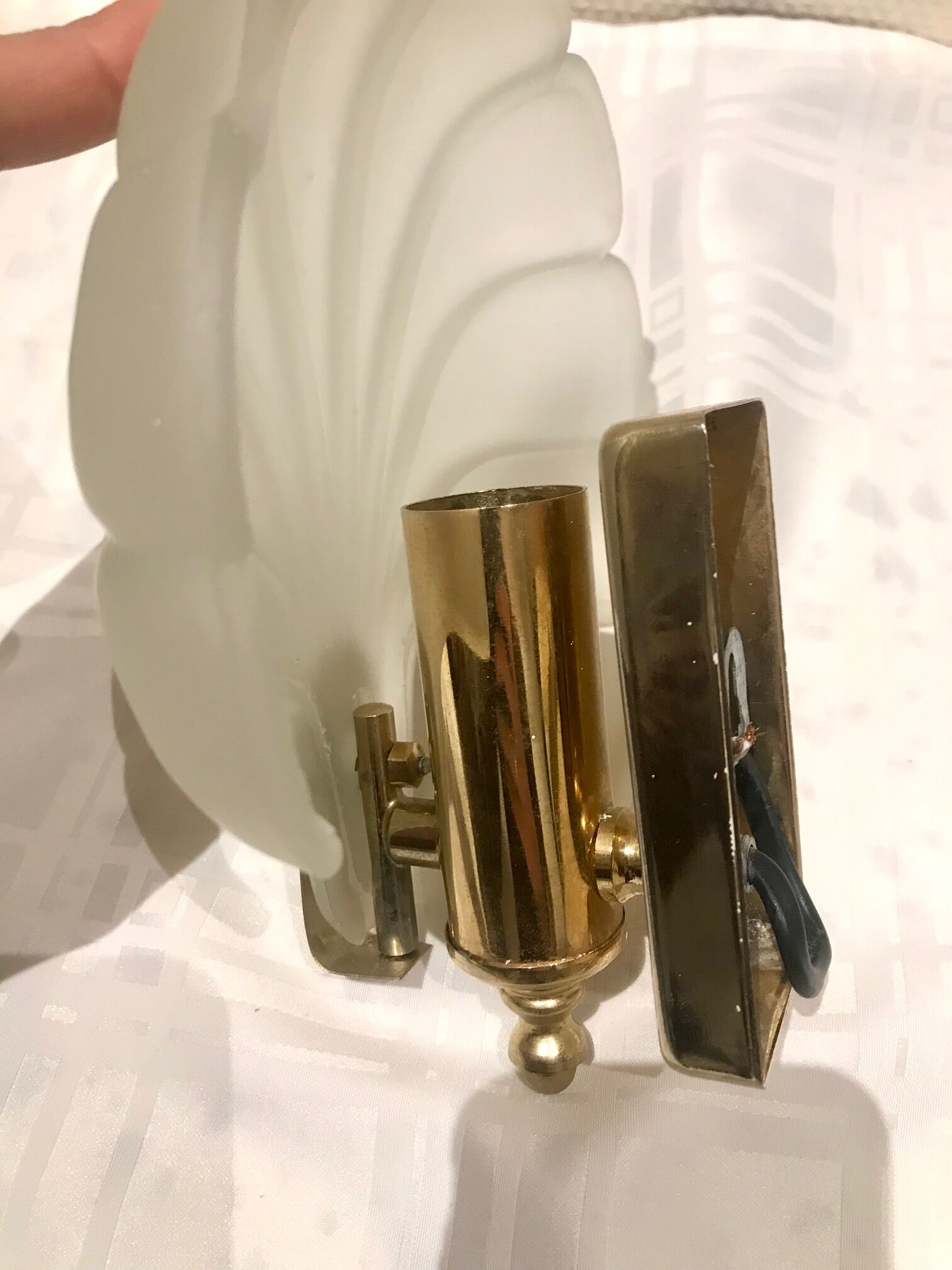 Pair of shell sconces
