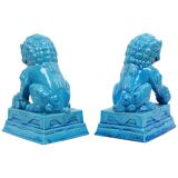 Large Temple Lion Statues Foo Dogs Blue Porcelain 25cm