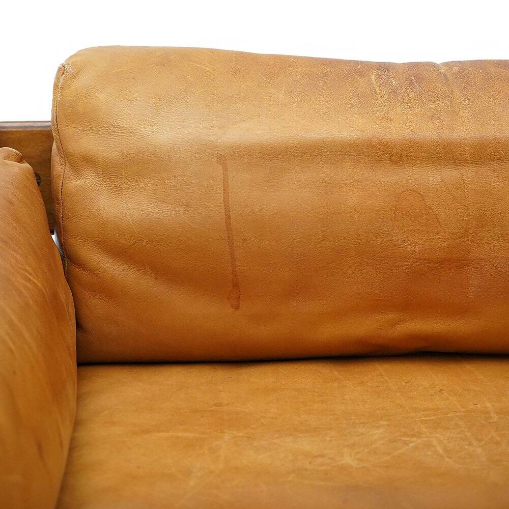 Zelda 2-seater sofa by Sergio Asti for Poltronova, 1960s