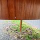 Extendable Scandinavian table