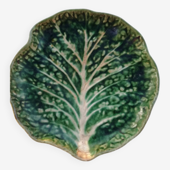 Cabbage plate