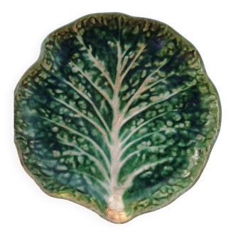 Cabbage plate