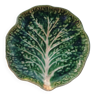 Cabbage plate