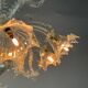 Venetian chandelier in colorless Murano glass, 7 light arms circa 1930