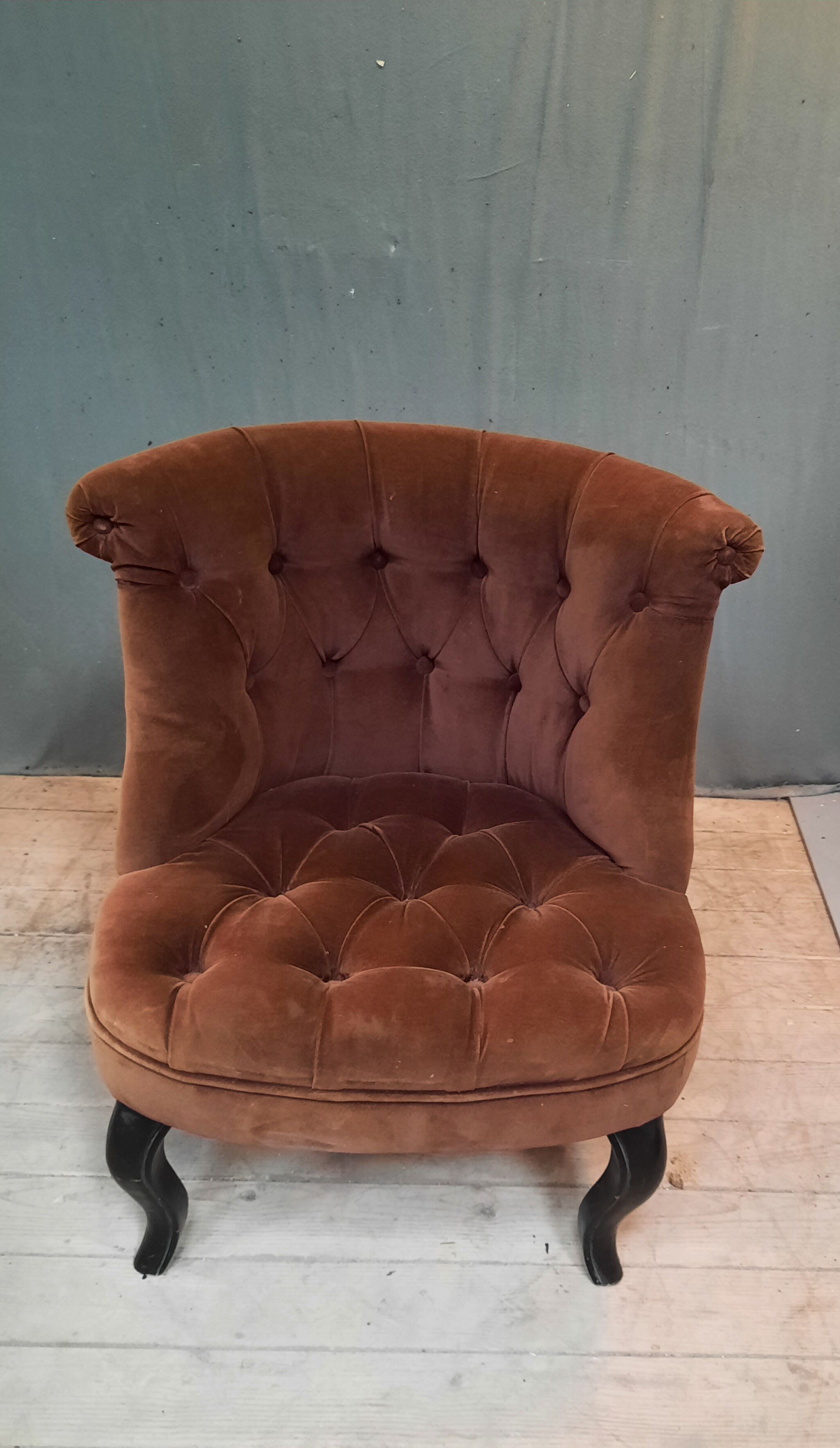 Facteuil toad in padded velvet