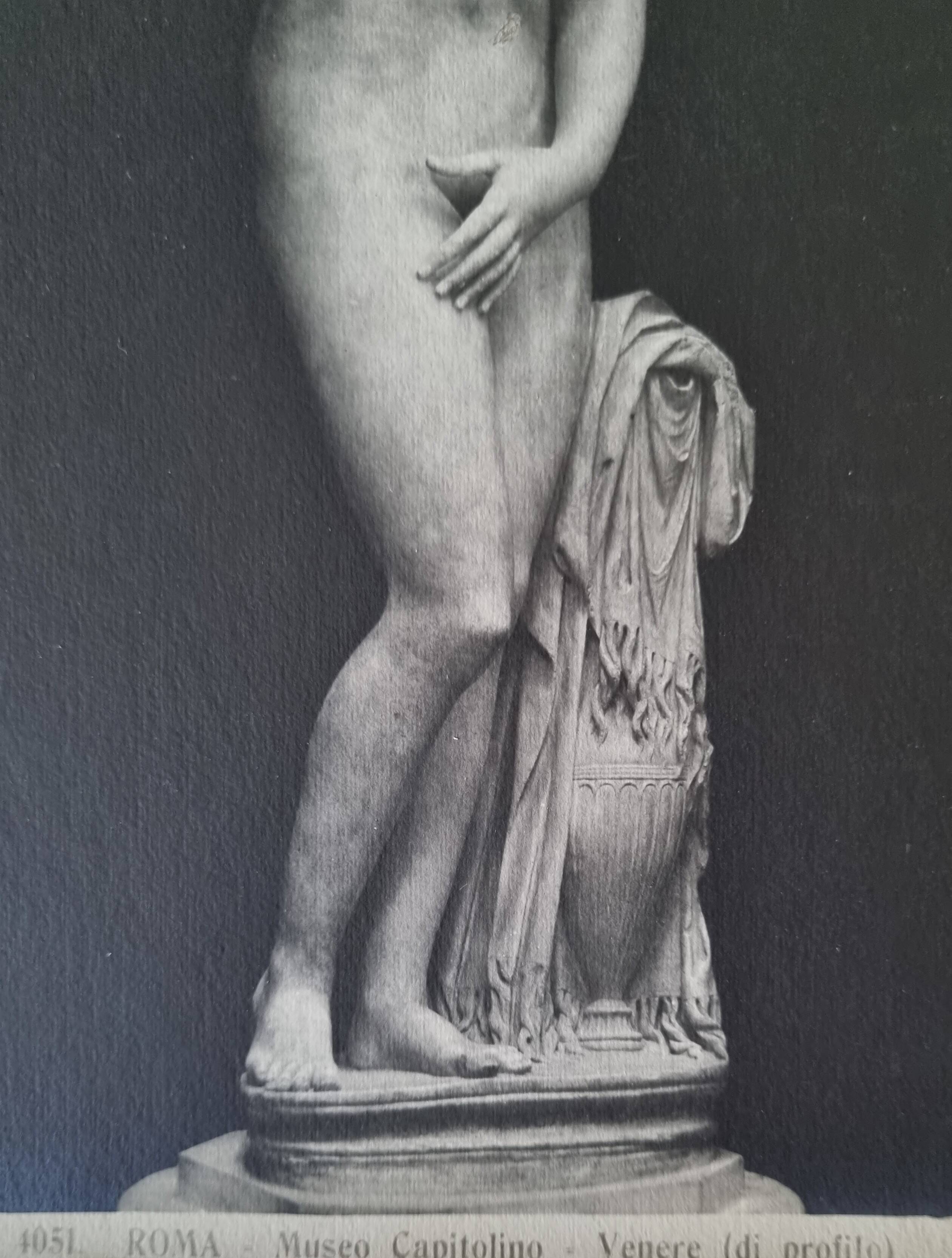 Old photograph of Venus in profile, Capitoline Museum, Rome, 1900, 26x39 cm.