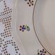 12 old Digoin and Sarreguemines soup plates