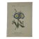 Botanical engraving Flower France double-sided coloured 1800