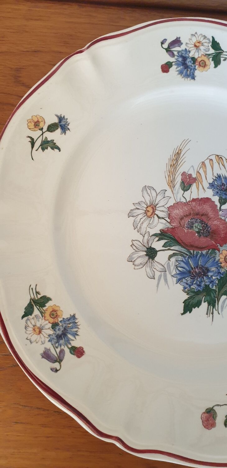 Dish Agreste Sarreguemines