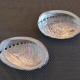 Duo of vacuum pearlescent bags in abalone shell