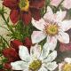 Peinture bouquet de fleurs
