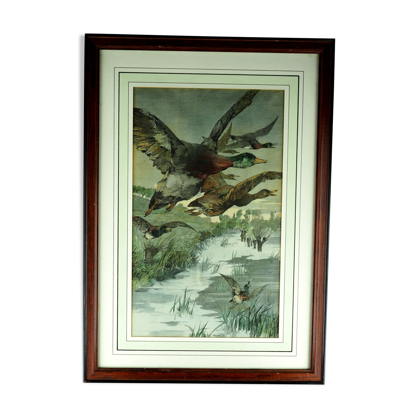 Flight of ducks, marshes and tetard willows - chromolithography Jules Habert-Dys - 1880