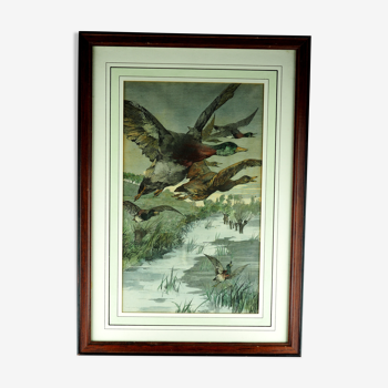 Flight of ducks, marshes and tetard willows - chromolithography Jules Habert-Dys - 1880