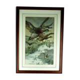 Flight of ducks, marshes and tetard willows - chromolithography Jules Habert-Dys - 1880
