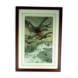 Flight of ducks, marshes and tetard willows - chromolithography Jules Habert-Dys - 1880