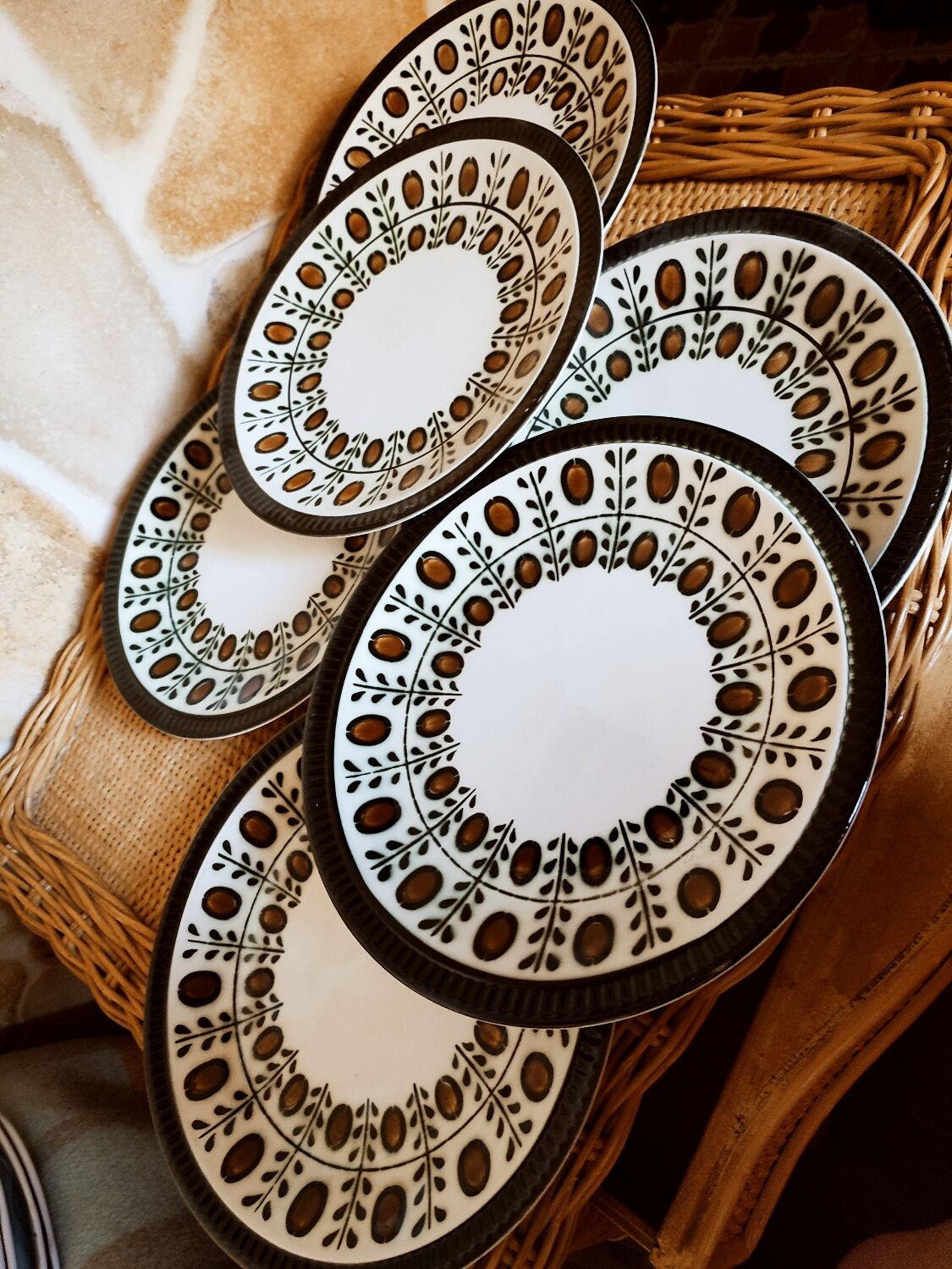 6 walnut model flat plates by Boch