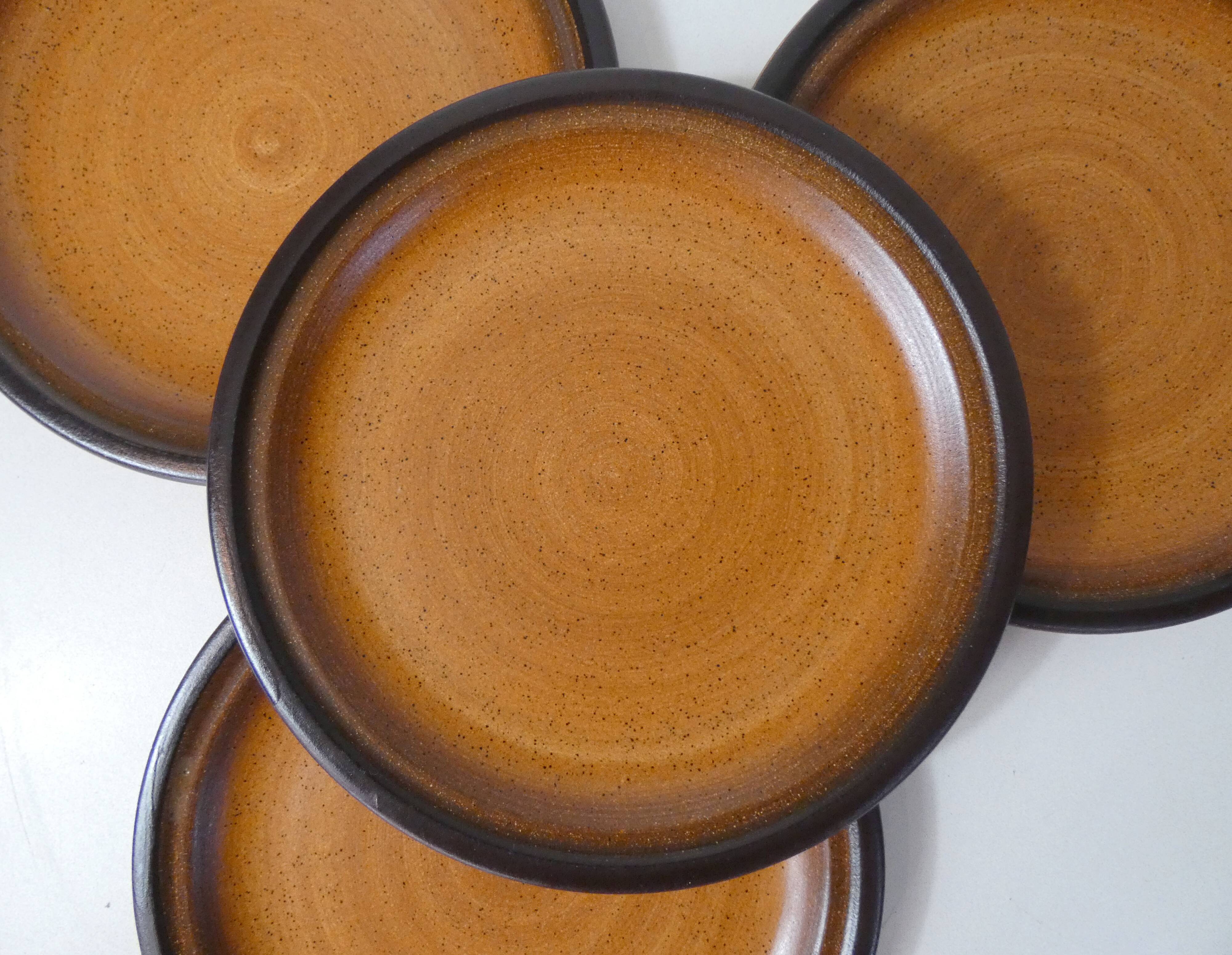 6 stoneware dinner plates