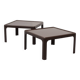 Peter Ghyczy coffee table Horn Collection 1970s