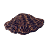 Wicker shell box