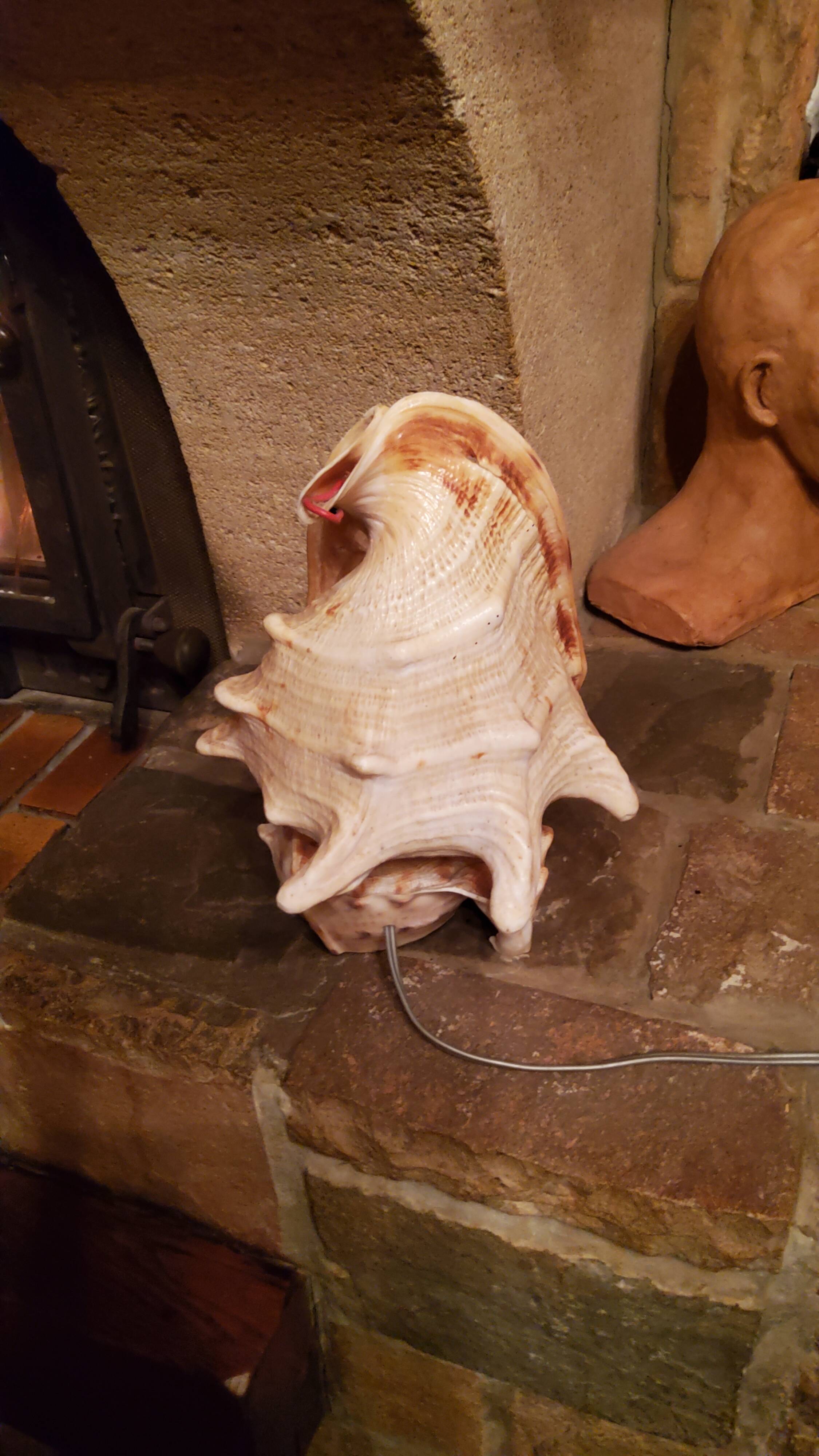 Shell lamp from the 50s