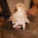 Shell lamp from the 50s