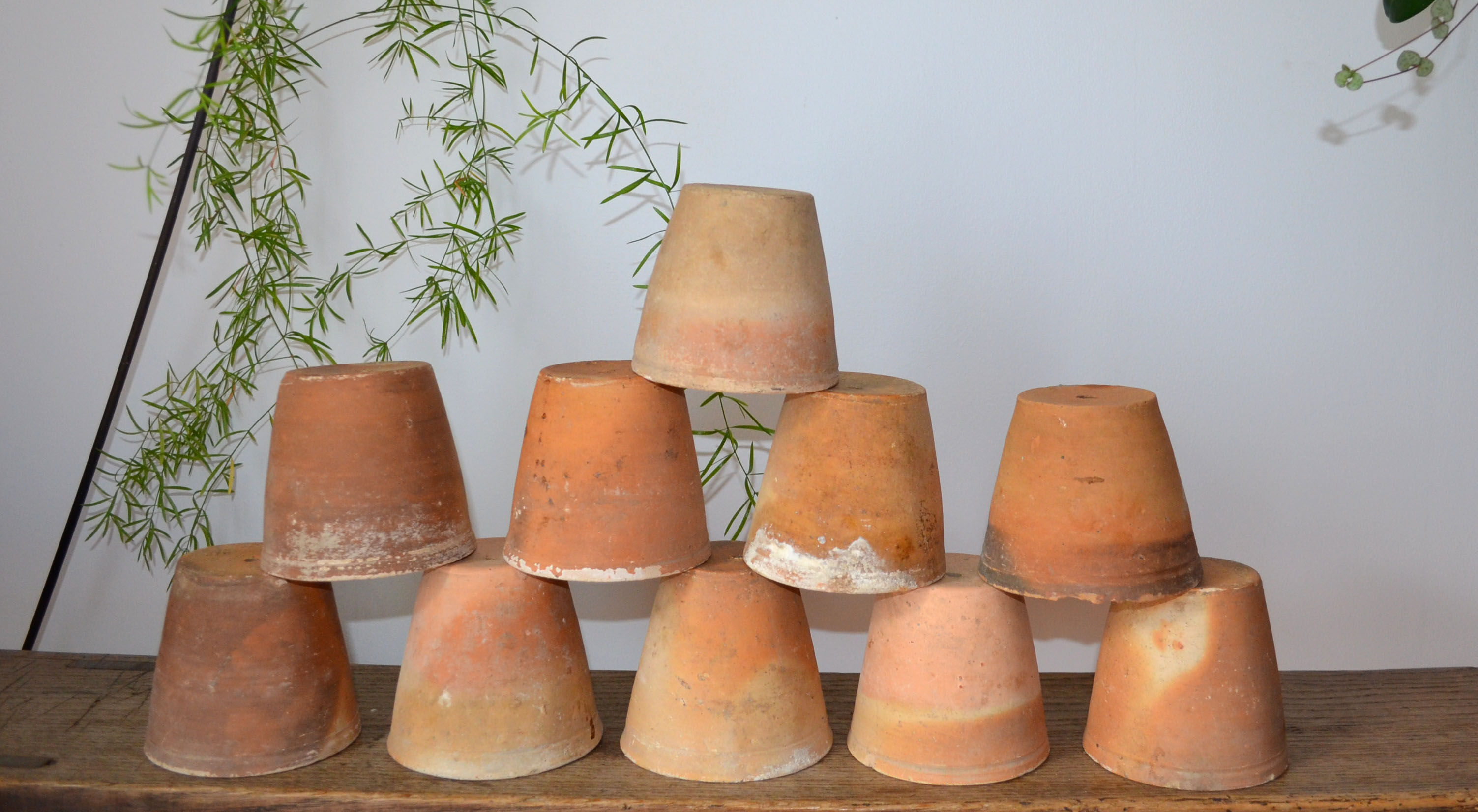 10 old seedling pots 9-10 cm