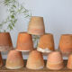 10 old seedling pots 9-10 cm