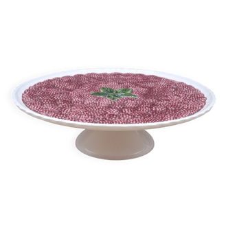 Plat gâteau barbotine framboises