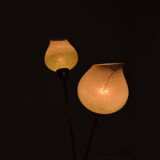 Mid-century Floor Lamp by  Kamenicky Senov,1950‘s.
